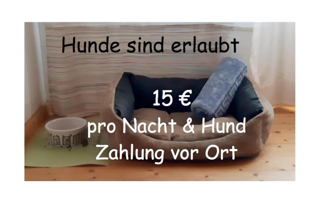 Gaestezimmer Im Freudenthal Extertal Extérieur photo